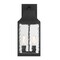Designers Fountain Blueberry Trail 195 in 2Light Black Outdoor Wall Lantern with Water Glass Shade D265M-8EW-BK - alternate 1